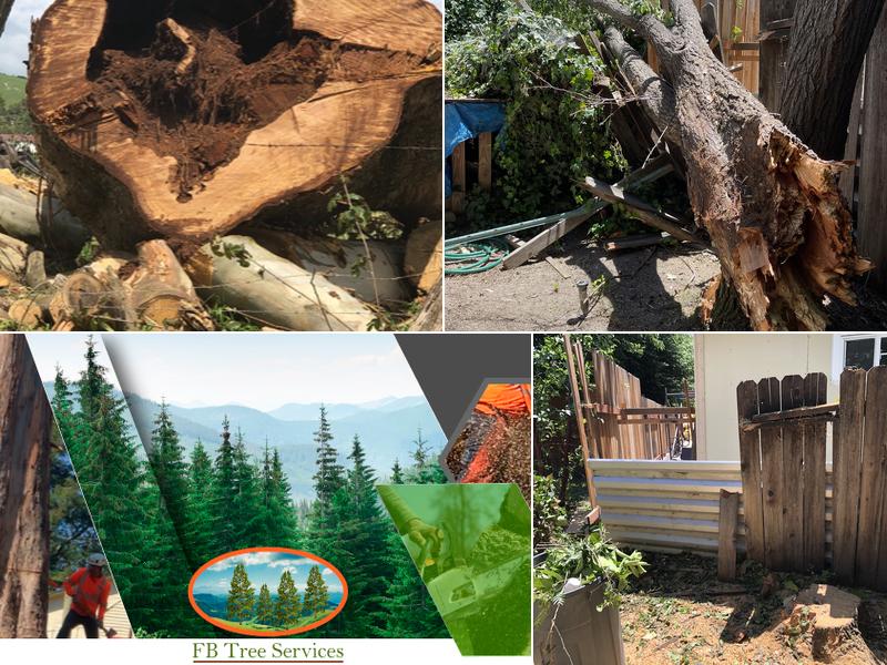 FB Tree Services inc