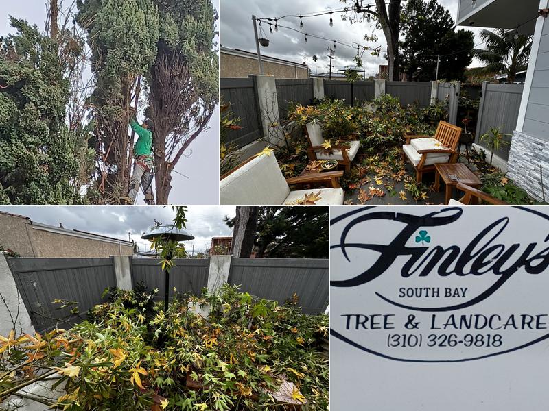 Finley's Tree & Landcare