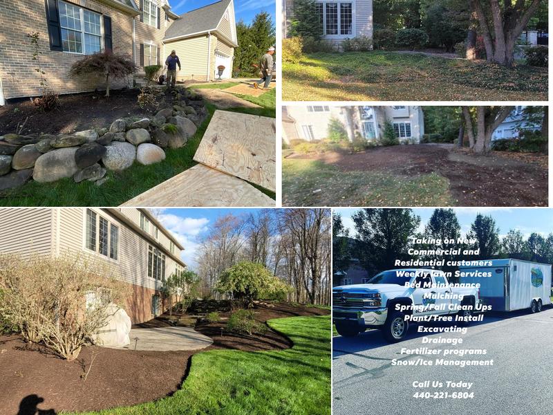 M&M Yard Service & Landscape