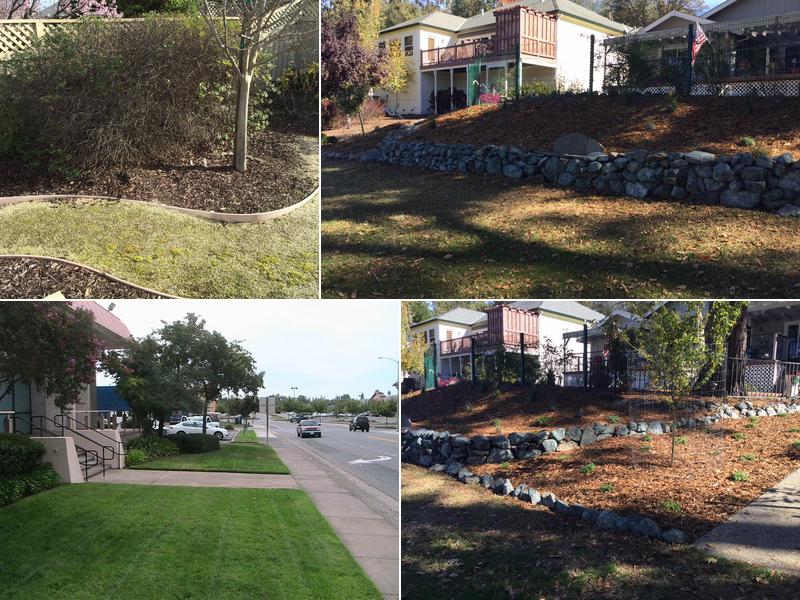 Scope Landscape Mgmt. Inc.