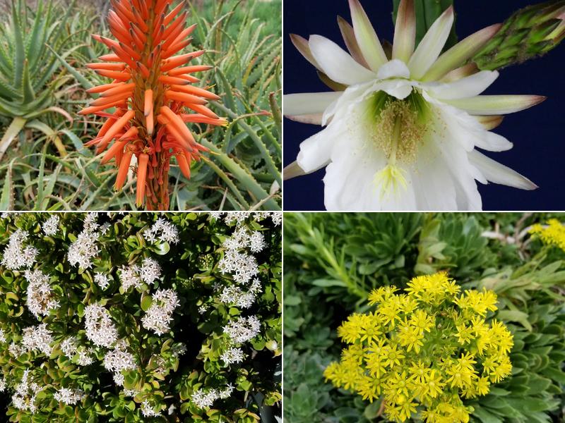 Chatsworth Nursery And Landscape