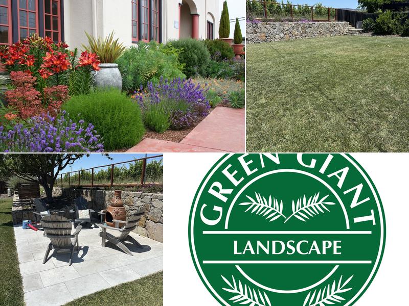Green Giant Landscape Design
