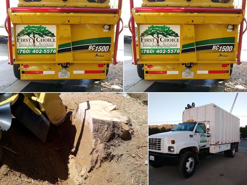 First Choice Tree Care Services