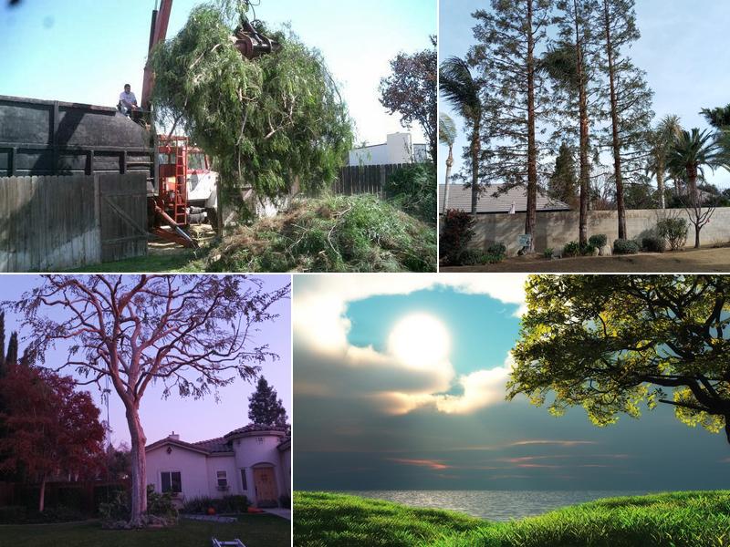 Michael's Tree Service