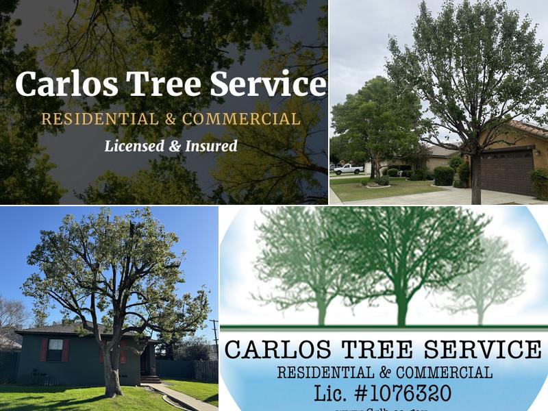 Carlos Tree Service
