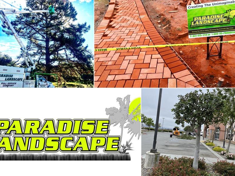 Paradise Landscape Inc.