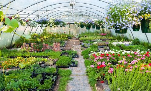 Southland Nursery