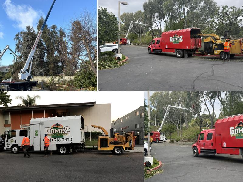 Gomez Landscape & Tree Care, Inc.