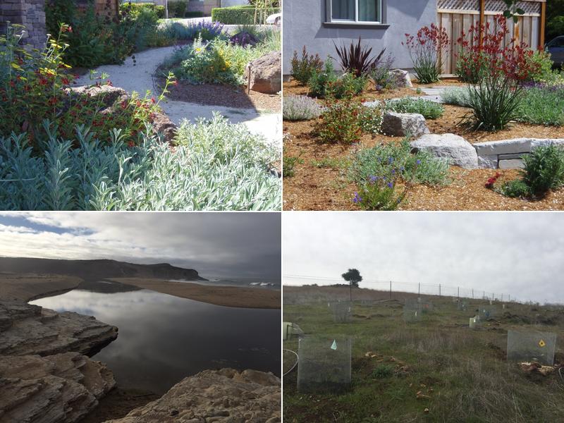 Confluence Restoration