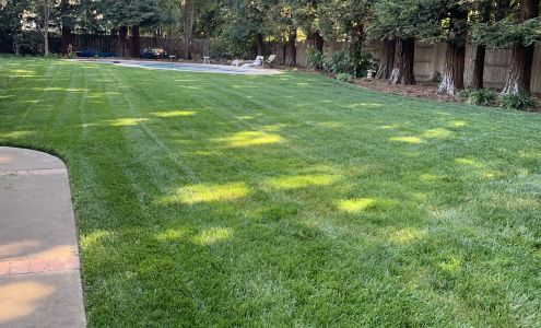 Hernandez Landscaping 963 E 16th St, Chico California 95928