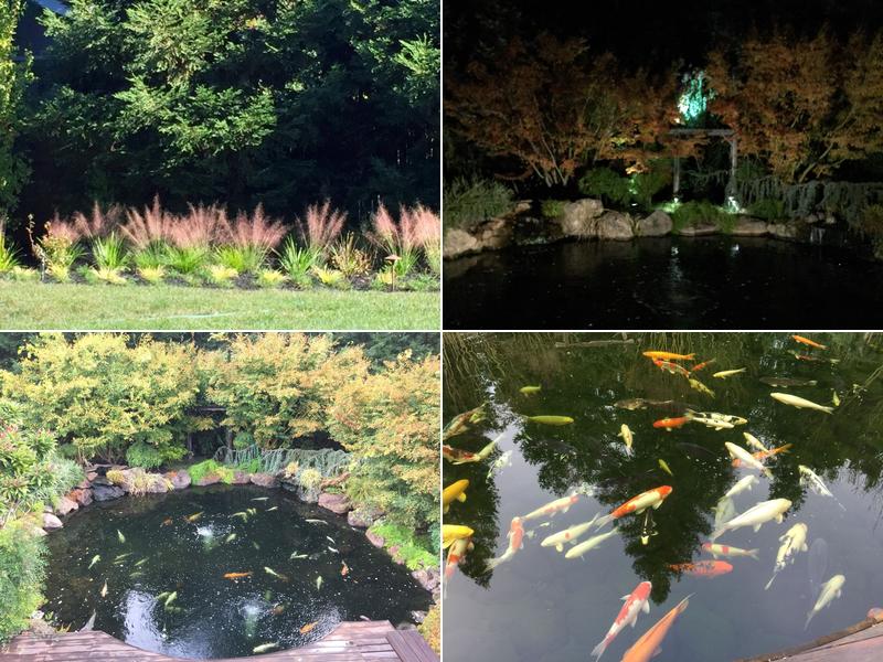 Lafayette Tree & Landscape Inc.