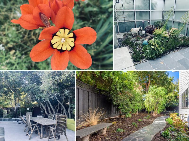 Green Thumbs Up Landscape design consultations