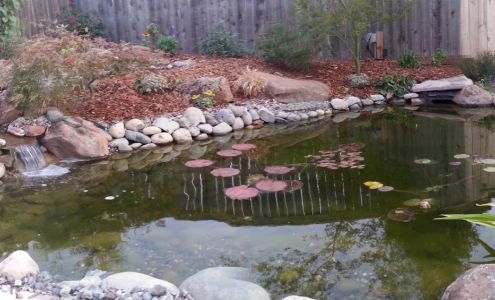 Black Rock Landscaping 2910 CA-32 suite 1800, Chico California 95973