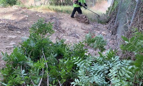 Andes Landscape Inc.