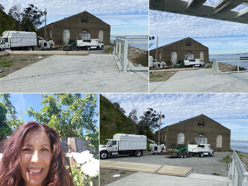 JTS Tree Expert, INC