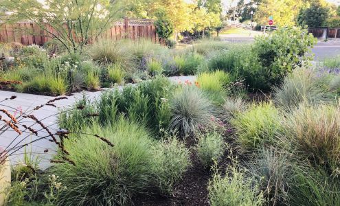 Jennifer Kate Landscapes Newcastle