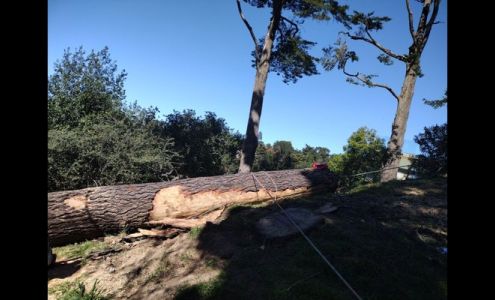 Juan's Landscaping & Tree Service