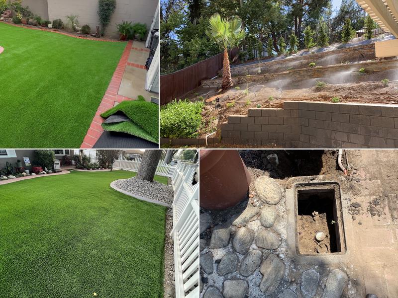 A1Tree and Landscape