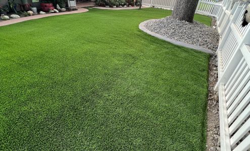 A1Tree and Landscape