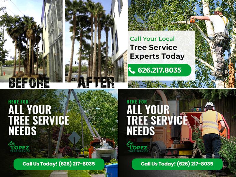 Lopez Tree Service