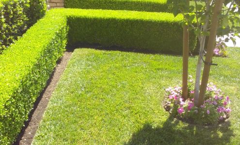 Goldenscapes Landscape and nursery 13069 Manning Ave, Parlier California 93648