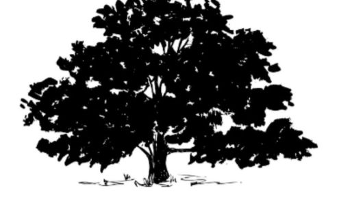 Oak Ridge Landworks & Landscaping