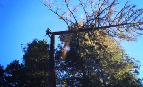 Family Tree Service, Inc. 41701 N Hwy 101, Laytonville California 95454