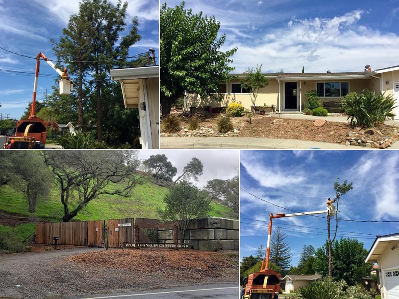 Waraner Tree Experts Dustin and Kim