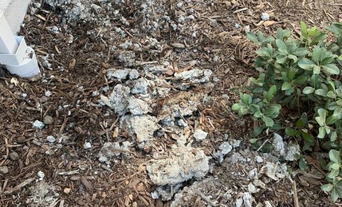 Greentree Landscaping