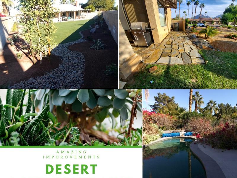 Desert Landscape Line