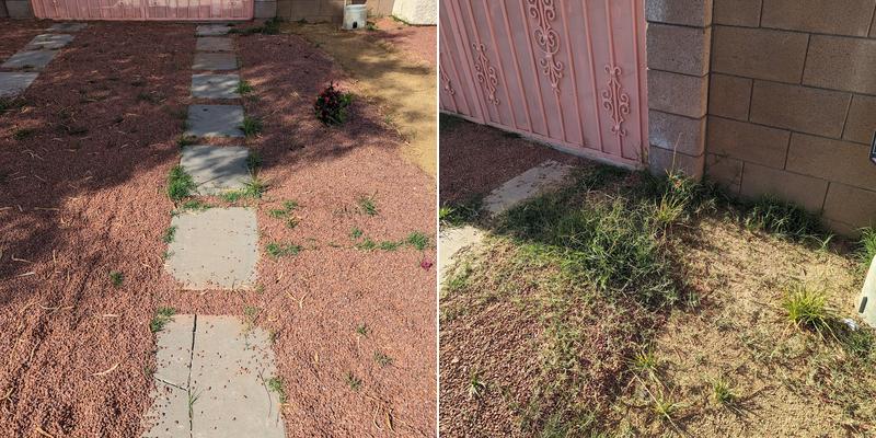 Solis Tree Service & Landscaping