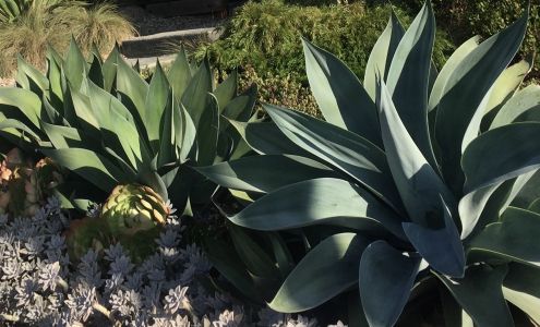 EARTHTONES LANDSCAPING