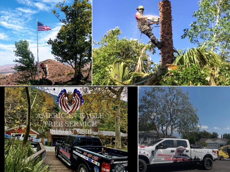 American Eagle Tree Service