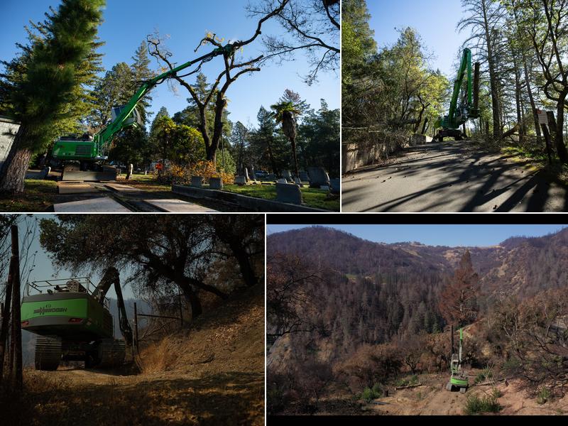 Signature Tree Solutions