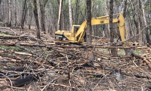 Fire Wise Landscaping 10336 Loch Lomond Rd, Loch Lomond California 95461