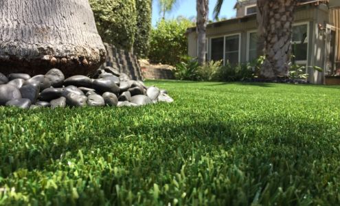 Purchase Green Artificial Grass