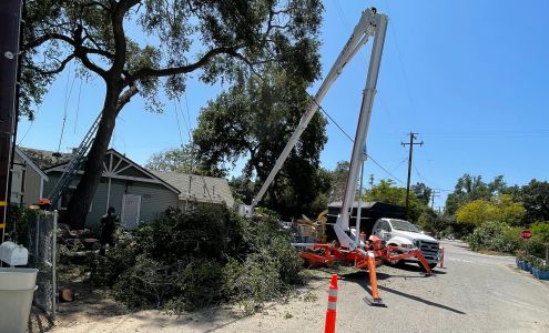 Cali Tree Service