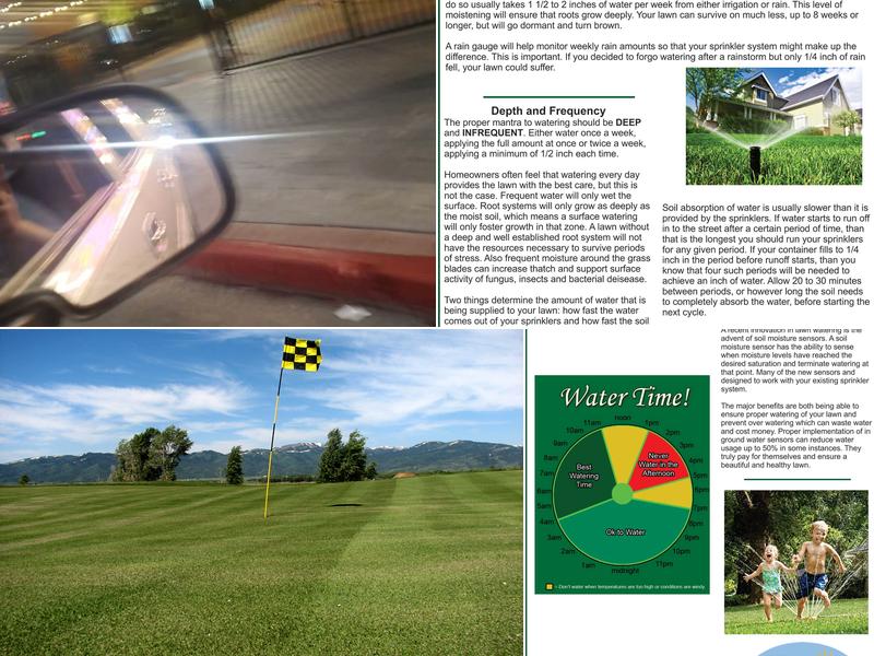 High Desert Turf Reno