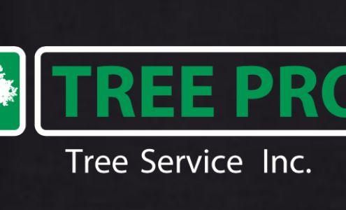 Tree Pro Tree Service Newcastle