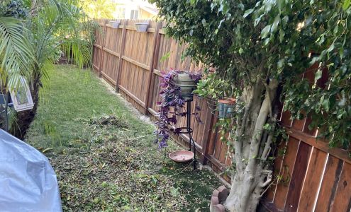 Salinas Landscape LLC