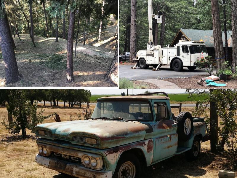 M M Reforestation inc.