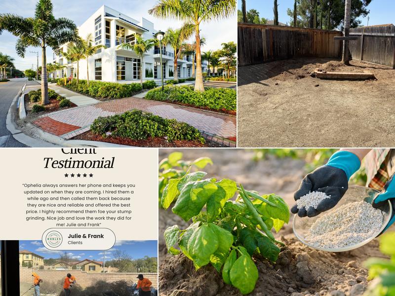 Robles Tree Service & Landscaping