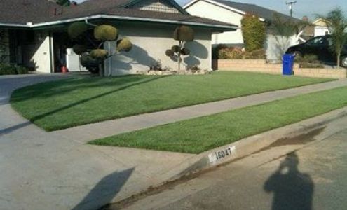 Gustavo's Landscape & Tree Service