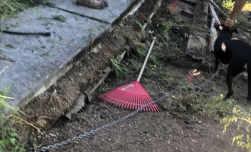 Professional Landscaping