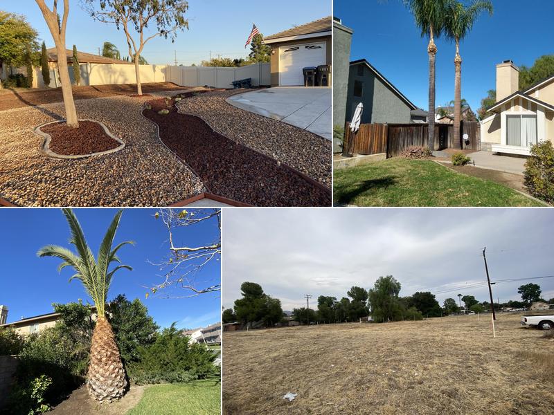 Climbing High Tree Services