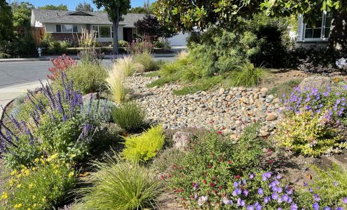 Verbena Landscaping Inc. 159 Verbena Dr, East Palo Alto California 94303