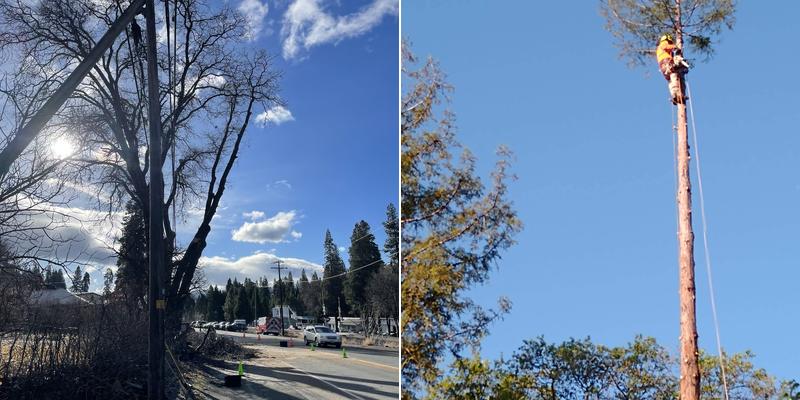 R&B Quality Tree Care, Inc.