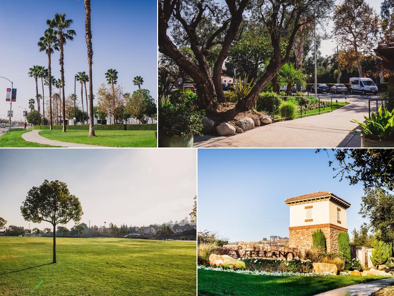 CLS Landscape Management, Inc.