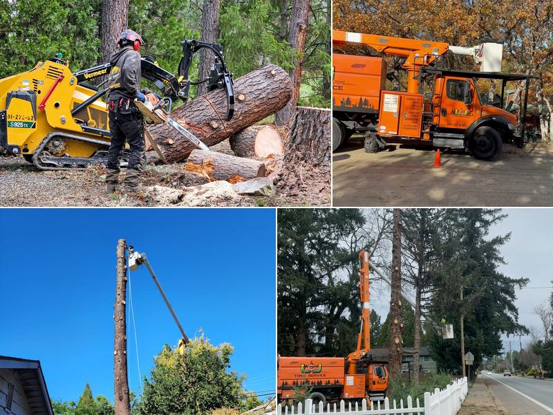 L&J tree service LLC