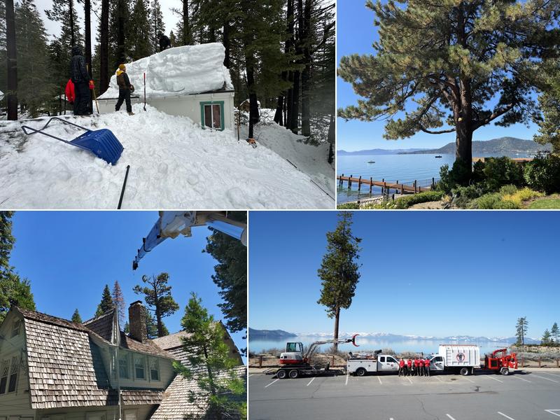 Jeremiah's Tree Service